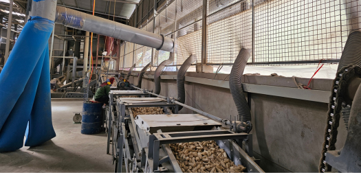 コンタミ除去中のコーンコブミール製造ライン | QHC Global