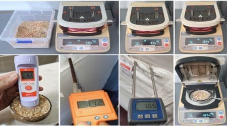 Random checking