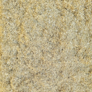 bagasse-powder–qhcglobal-135×135 Bagasse Powder for mushroom cultivation