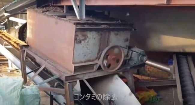 火力乾燥前に機械でコンタミネーションを除去されたバガスサイレージ