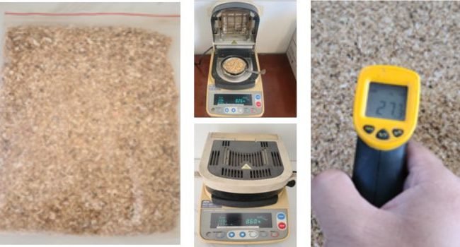 shrimp-shell-inspection