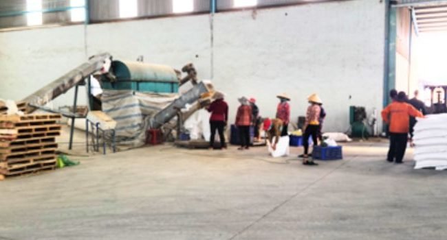 shrimp-shell--packaging